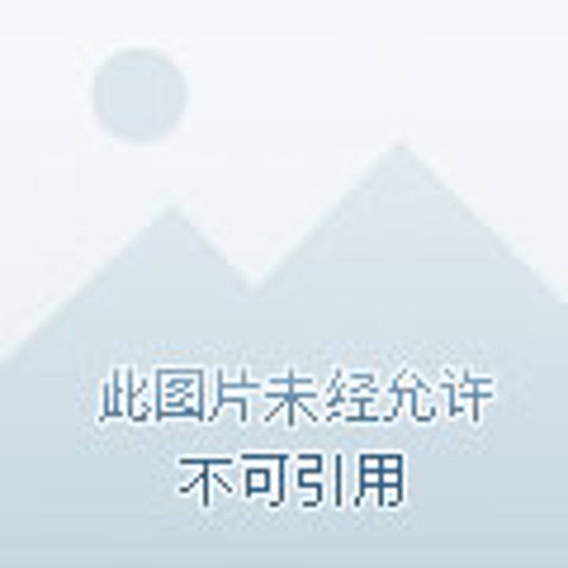 猫砂盆