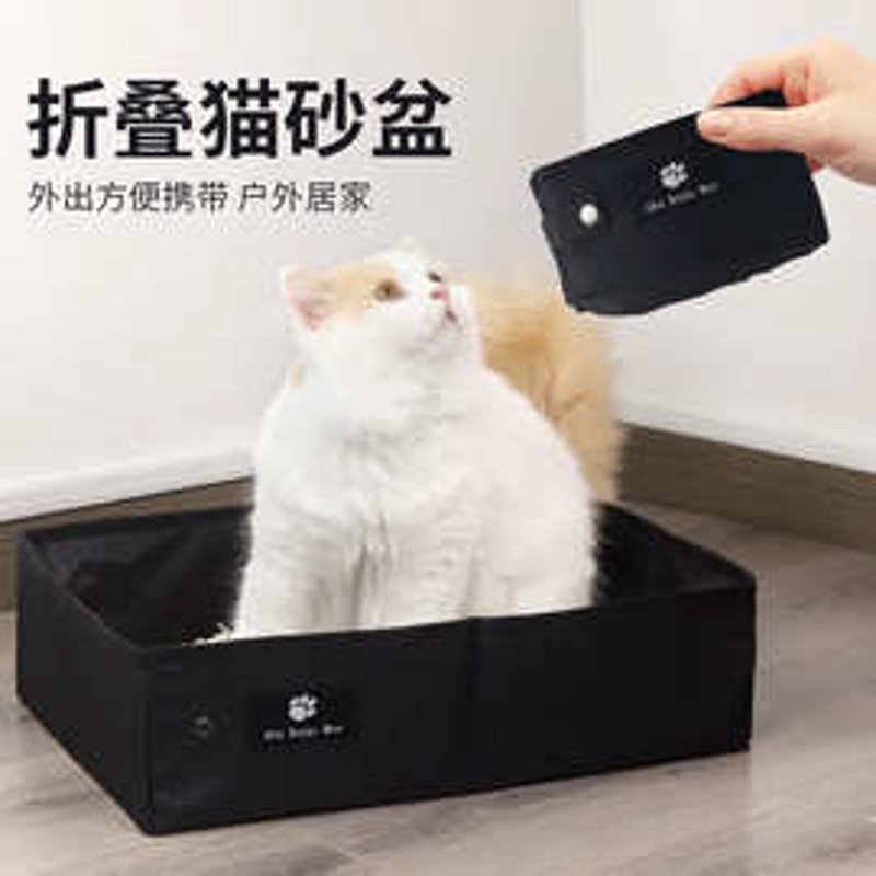 宠物市场的变化如何影响上海宠物用品批发行业?